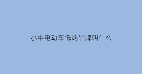 小牛电动车低端品牌叫什么(小牛最高端的电动车)