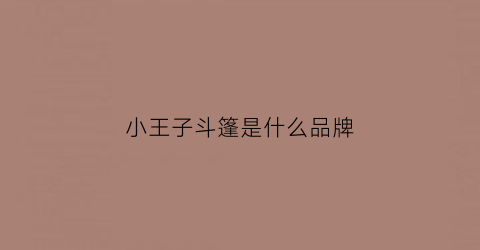 小王子斗篷是什么品牌(小王子斗篷)