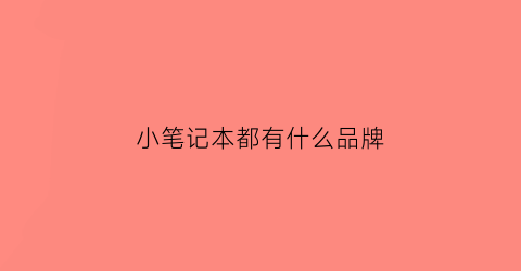小笔记本都有什么品牌(小笔记本叫什么名字)