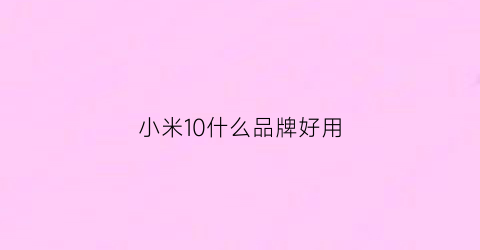 小米10什么品牌好用(小米10哪款值得买)