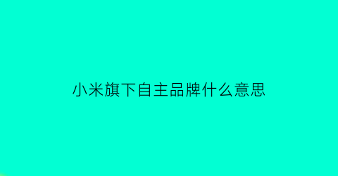 小米旗下自主品牌什么意思(小米自研技术有哪些)