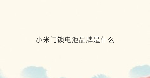 小米门锁电池品牌是什么(小米电子门锁电池)