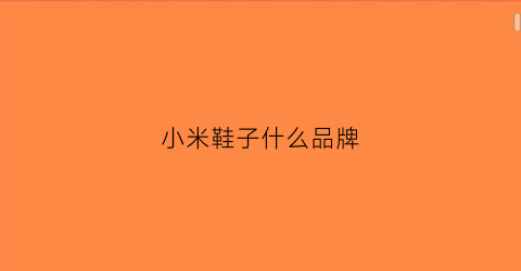 小米鞋子什么品牌(小米鞋子什么品牌好)