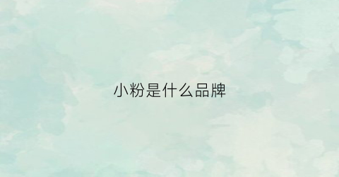 小粉是什么品牌(小粉是什么粉)