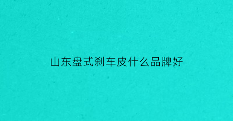 山东盘式刹车皮什么品牌好