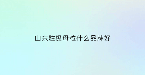 山东驻极母粒什么品牌好(驻极母粒添加多了会怎么样)