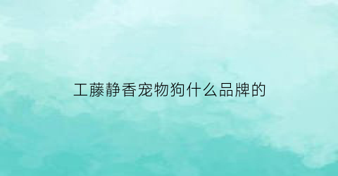 工藤静香宠物狗什么品牌的(工藤静香气质)