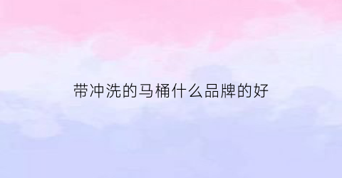 带冲洗的马桶什么品牌的好(带冲洗功能的马桶能冲干净吗)