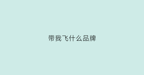 带我飞什么品牌(带我飞前面一句)