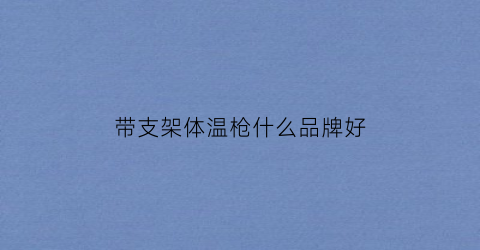 带支架体温枪什么品牌好(带支架体温枪什么品牌好一点)