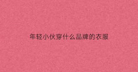 年轻小伙穿什么品牌的衣服(年轻男子穿什么牌子衣服)