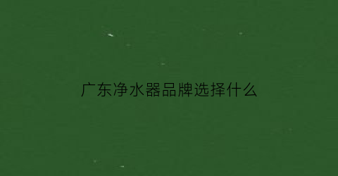 广东净水器品牌选择什么(广东净水器品牌选择什么牌子好)