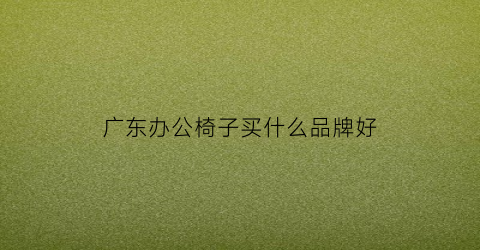 广东办公椅子买什么品牌好(广东办公椅子厂家直销)