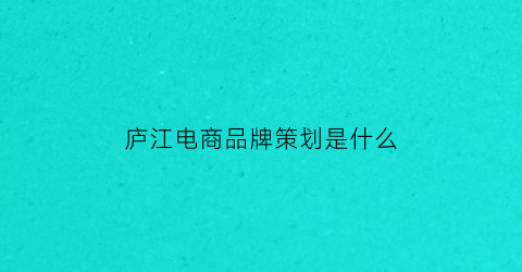 庐江电商品牌策划是什么(品牌电商营销策划)