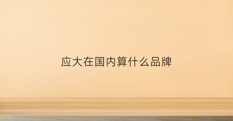 应大在国内算什么品牌(应大是哪里的品牌)