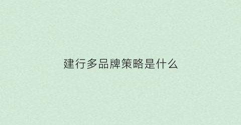 建行多品牌策略是什么(建行品牌价值)