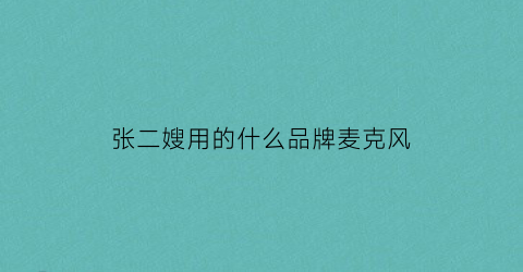 张二嫂用的什么品牌麦克风(张二嫂用的是什么手机)