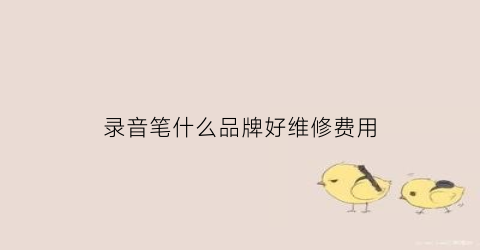 录音笔什么品牌好维修费用(录音笔的十大品牌)