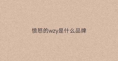 愤怒的wzy是什么品牌(愤怒的wzy是什么品牌的)