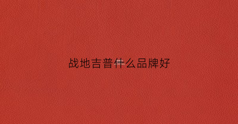 战地吉普什么品牌好(战地吉普什么品牌好一点)