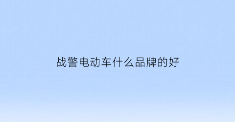 战警电动车什么品牌的好(战警电动车什么牌子的好)