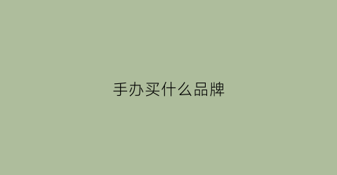 手办买什么品牌(手办买什么品牌好海贼王)