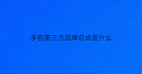 手机第三方品牌总成是什么(元朝的地图视频)