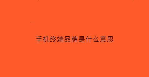 手机终端品牌是什么意思(手机终端品牌是什么意思呀)