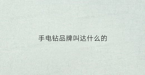 手电钻品牌叫达什么的(大品牌手电钻)