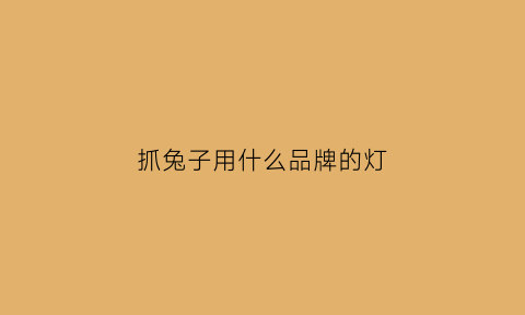 抓兔子用什么品牌的灯