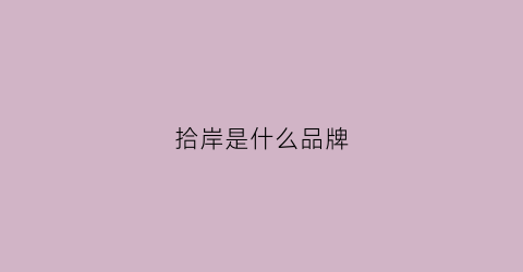 拾岸是什么品牌(zan拾)