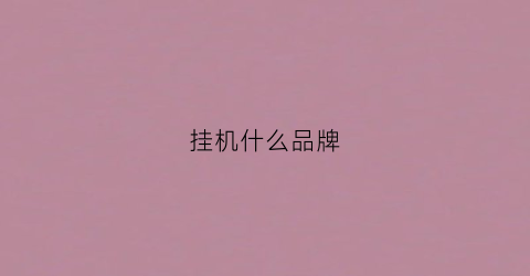 挂机什么品牌(挂机选什么牌子好)