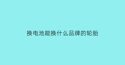 换电池能换什么品牌的轮胎(换电瓶换什么电池的安全)