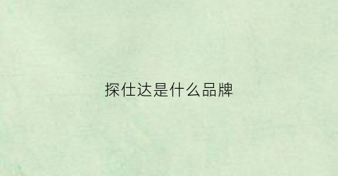 探仕达是什么品牌(探りばし)