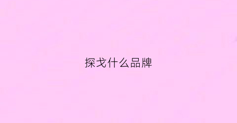 探戈什么品牌(探戈是什么车型)