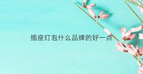 插座灯泡什么品牌的好一点(插座灯泡什么品牌的好一点呢)