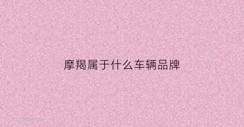 摩羯属于什么车辆品牌(摩羯属于什么车辆品牌的)