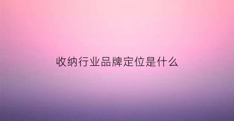 收纳行业品牌定位是什么(收纳产品的行业前景)