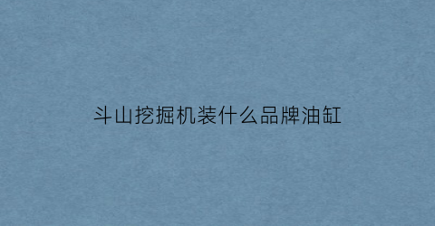 斗山挖掘机装什么品牌油缸(斗山挖掘机装什么品牌油缸好)