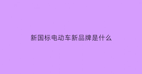 新国标电动车新品牌是什么(新国标电动车新品牌是什么牌子)