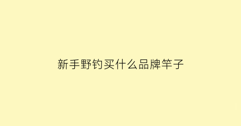 新手野钓买什么品牌竿子(新手野钓鱼竿推荐)