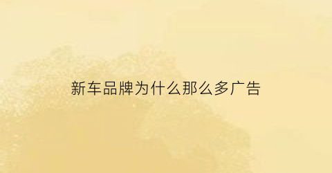 新车品牌为什么那么多广告(新车为什么这么便宜)
