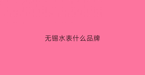 无锡水表什么品牌(无锡水表厂)