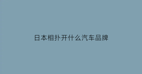 日本相扑开什么汽车品牌(日本相扑什么样)