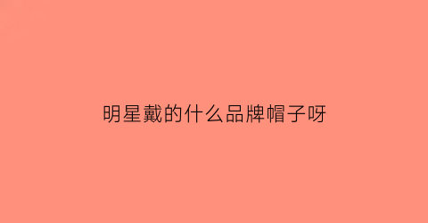 明星戴的什么品牌帽子呀(明星们戴的帽子)