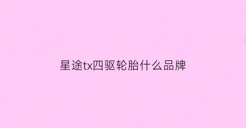 星途tx四驱轮胎什么品牌