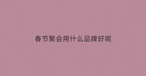 春节聚会用什么品牌好呢(适合春节聚会玩的游戏)