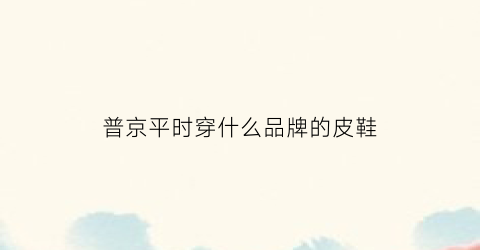 普京平时穿什么品牌的皮鞋(普京的大衣)