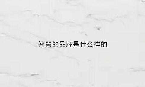 智慧的品牌是什么样的