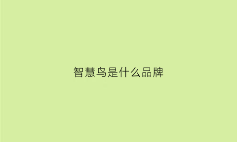 智慧鸟是什么品牌(智慧鸟网络科技有限公司)